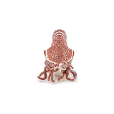Nautile, figurine PAPO 56061