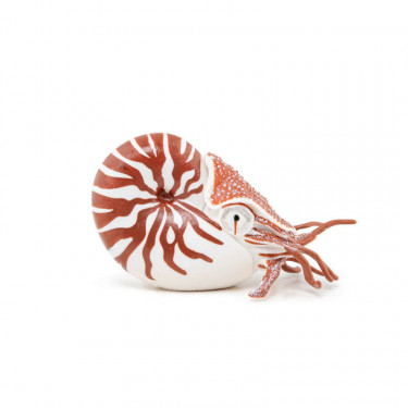 Nautile, figurine PAPO 56061