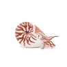 Nautile, figurine PAPO 56061