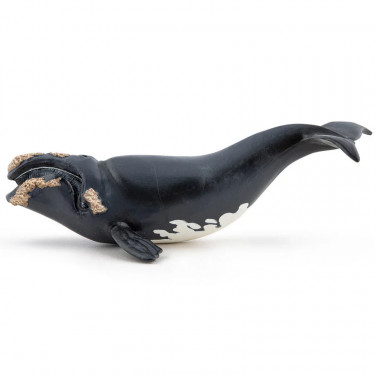 Jeune baleine franche de l'Atlantique nord, figurine PAPO 56057