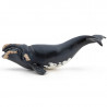 Jeune baleine franche de l'Atlantique nord, figurine PAPO 56057
