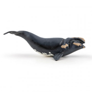 Jeune baleine franche de l'Atlantique nord, figurine PAPO 56057