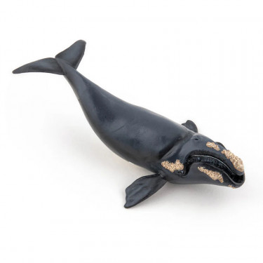 Jeune baleine franche de l'Atlantique nord, figurine PAPO 56057