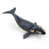 Jeune baleine franche de l'Atlantique nord, figurine PAPO 56057