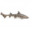 Requin léopard, figurine PAPO 56056