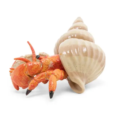 Bernard l'hermite, figurine PAPO 56054