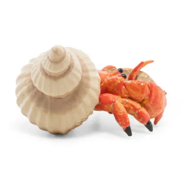Bernard l'hermite, figurine PAPO 56054