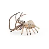 Crevette, figurine PAPO 56053