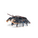 Homard, figurine PAPO 56052