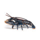 Homard, figurine PAPO 56052