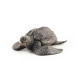 Tortue luth, figurine PAPO 56022