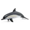 Dauphin commun, figurine PAPO 56055