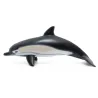 Dauphin commun, figurine PAPO 56055