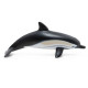 Dauphin commun, figurine PAPO 56055