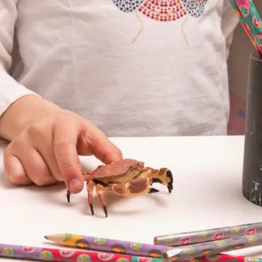 Crabe, figurine PAPO 56047