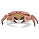 Crabe, figurine PAPO 56047