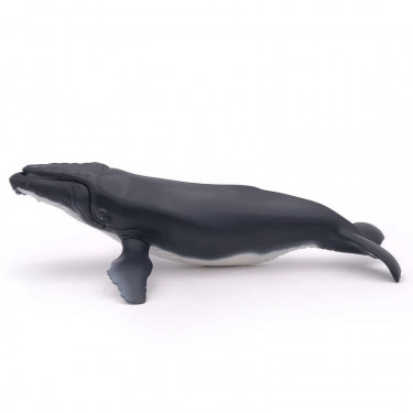 Baleine à bosse, figurine PAPO 56001