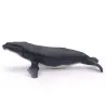 Baleine à bosse, figurine PAPO 56001