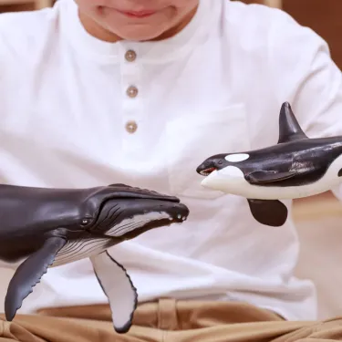 Baleine à bosse, figurine PAPO 56001
