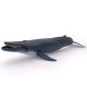 Baleine bleue, figurine PAPO 56037