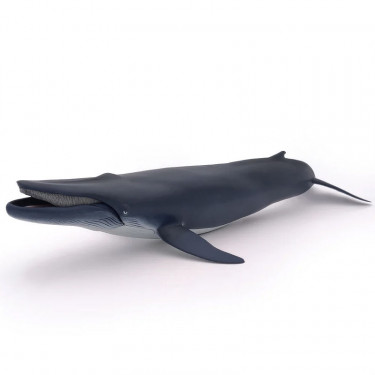 Baleine bleue, figurine PAPO 56037