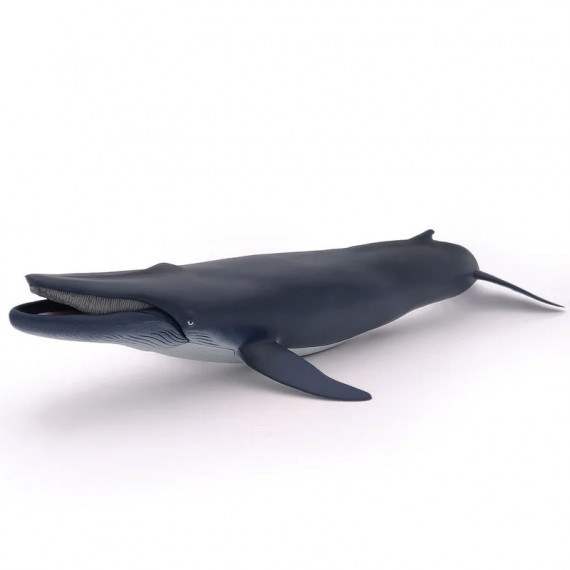 Baleine bleue, figurine PAPO 56037
