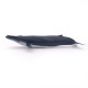 Baleine bleue, figurine PAPO 56037