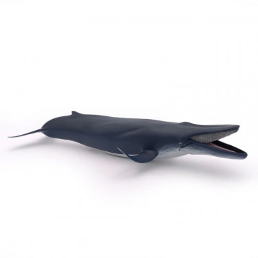 Baleine bleue, figurine PAPO 56037