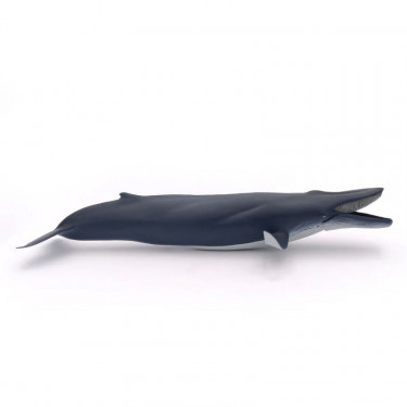 Baleine bleue, figurine PAPO 56037