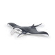 Raie manta, figurine PAPO 56006