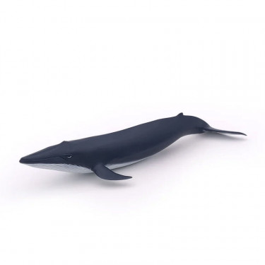 Bébé baleine bleue, figurine PAPO 56041