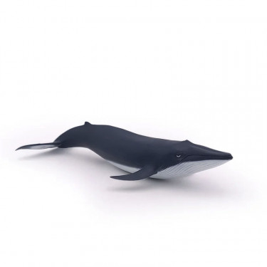 Bébé baleine bleue, figurine PAPO 56041