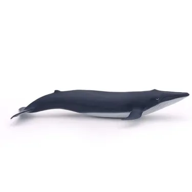 Bébé baleine bleue, figurine PAPO 56041