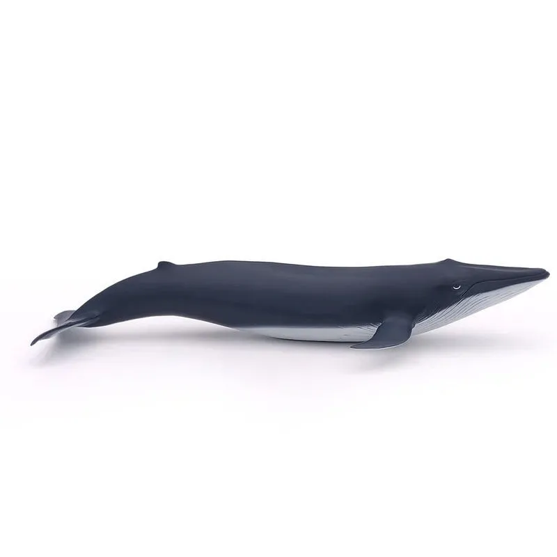 Bébé baleine bleue, figurine PAPO 56041