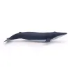 Bébé baleine bleue, figurine PAPO 56041