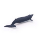 Bébé baleine bleue, figurine PAPO 56041
