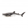 Jeune requin baleine, figurine PAPO 56046