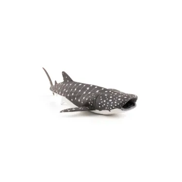 Jeune requin baleine, figurine PAPO 56046