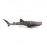 Jeune requin baleine, figurine PAPO 56046
