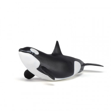 Bébé orque, figurine PAPO 56040