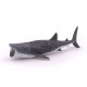 Requin baleine, figurine PAPO 56039