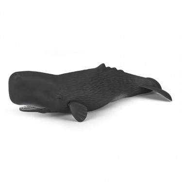 Cachalot, figurine PAPO 56036