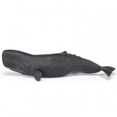 Cachalot, figurine PAPO 56036