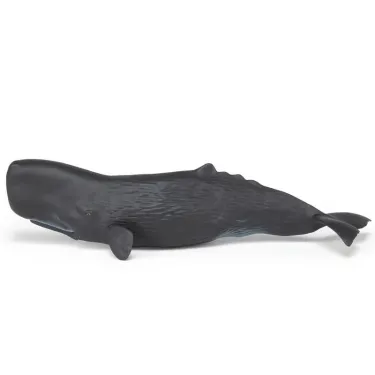 Cachalot, figurine PAPO 56036