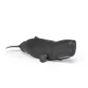 Cachalot, figurine PAPO 56036