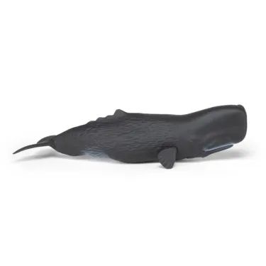 Cachalot, figurine PAPO 56036