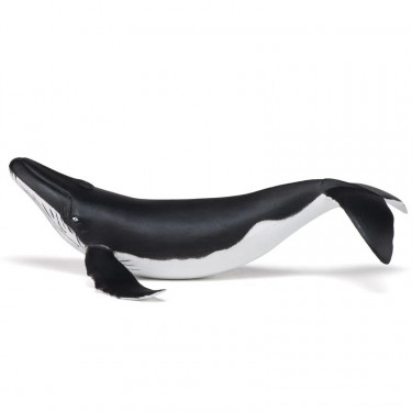 Baleineau, figurine PAPO 56035