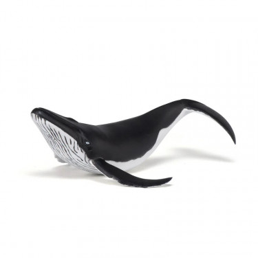 Baleineau, figurine PAPO 56035