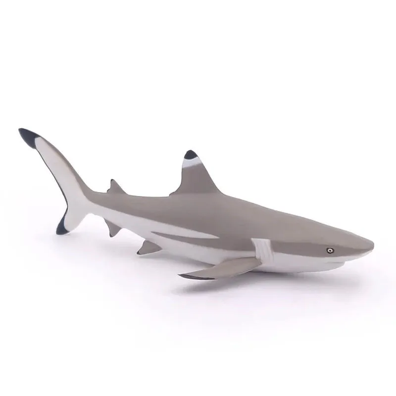 Requin à pointes noires, figurine PAPO 56034