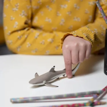 Requin à pointes noires, figurine PAPO 56034